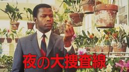 夜の大捜査線